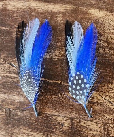 Stetson (Blue Sapphire) Feather Pack of 2 (Free Shipping Included)