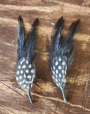 Stetson (Black Onyx) Feather Pack of 2 (Free Shipping)