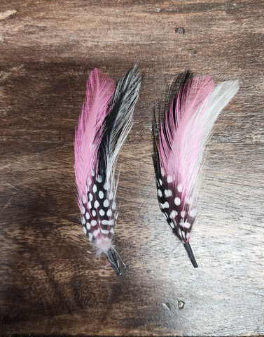 Stetson Feather Rosa y Blanco