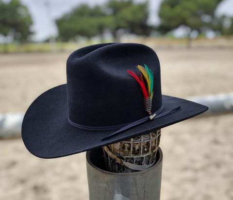 Sombrero de Niño Tombstone 1000X Rodeo Edicion Limitada – El Plebe Hats