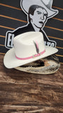 Sombrero 100X en Palma Original  Estilo  Sinaloa con toquilla de Avestruz 🍓 Rosa Ala de 3"
