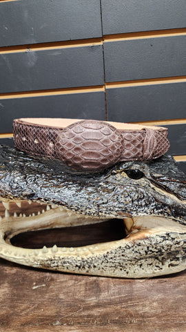 Cinto de piel Exotica 🐍 Cafe Tobacco