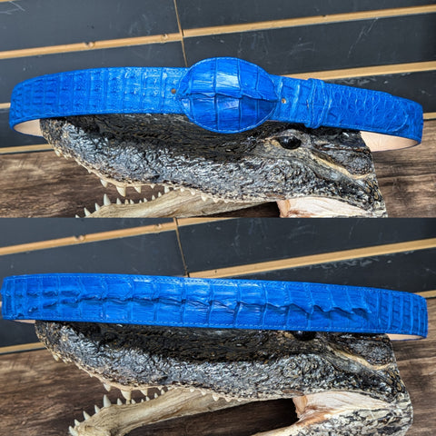 Cinto de Cocodrilo 🐊 Royal Blue Double Tail (El Plebe Hats Exclusive)