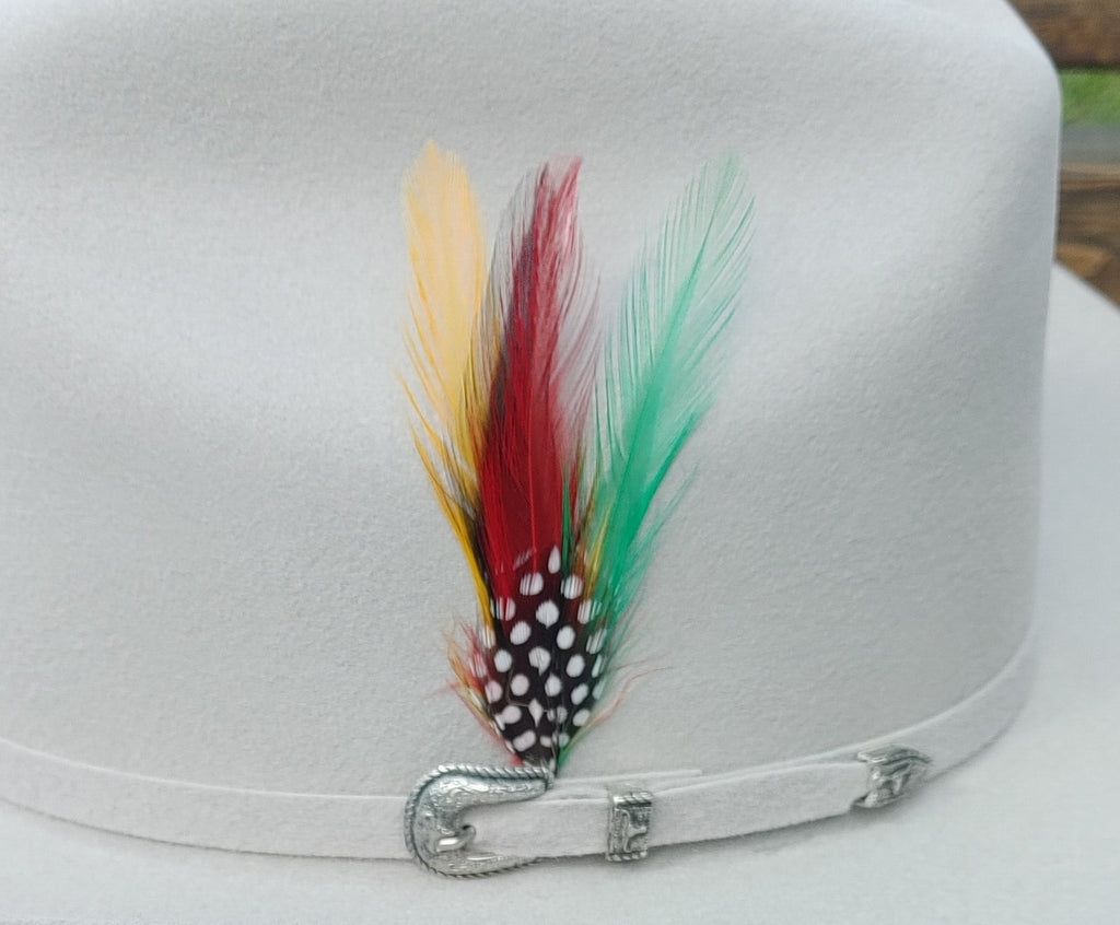 Original Stetson Feather Pack of 2 ( Free Shipping) – El Plebe Hats