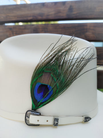 Hat Feather F12 (Free Shipping)