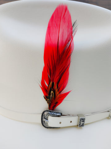 Hat Feather F8 (Free Shipping)