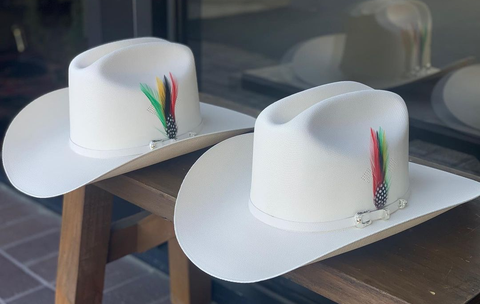 Original Stetson Feather Pack of 2 Free Shipping El Plebe Hats